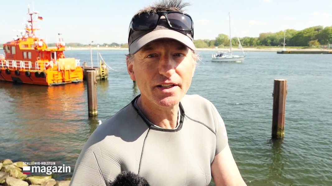 Der Delfin-Experte Jesper Stig Andersen im Interview.