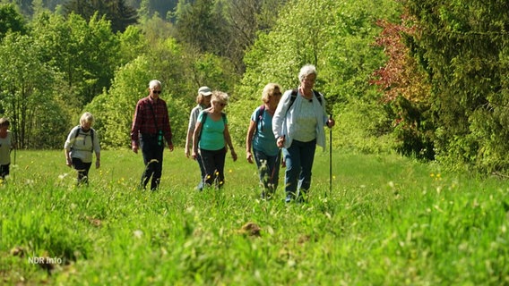 Eine Wandergruppe durchquert eine grüne Wiesenlandschaft. © Screenshot 