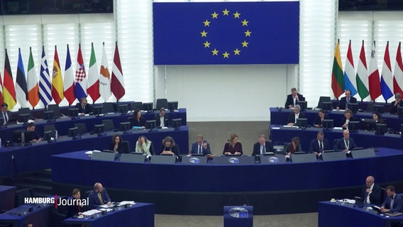 Das Europa-Parlament. © Screenshot 