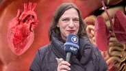Reporterin Caro Korneli vor Herz, Lunge und Darm. (extra 3 vom 16.05.2024 im Ersten) © NDR 