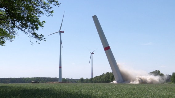 Ein 80 Meter hoher Betonturm wurde im Windpark Hoort gesprengt - hier fällt er zu Boden. © Screenshot 