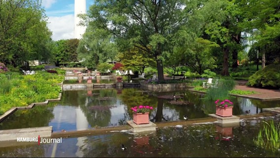 Ein Park mit Wasserspielen und vielen Pflanzen ist zu sehen. © Screenshot 