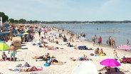 Ein Sandstrand am Meer ist gut gefüllt mit sonnenbadenden Touristen. © Screenshot 
