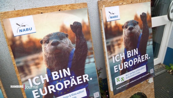 Plakate vom NABU zur Europawahl: Auf den Postern ist die Figur eines Otters zu sehen, der die Pfote hebt, darunter der Spruch: "Ich bin Europäer". © Screenshot 