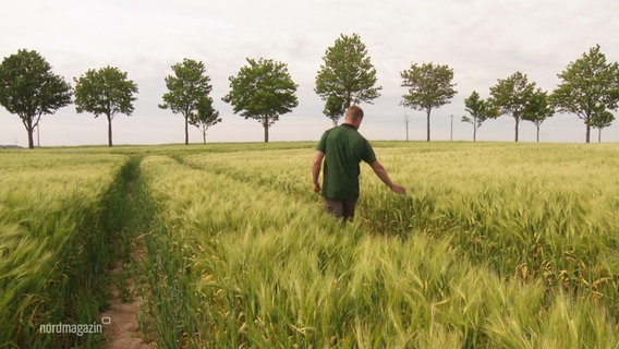 Ein junger Landwirt geht durch ein grünes Getreidefeld. © Screenshot 
