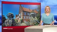 Merlin van Rissenbeck moderiert das Hamburg Journal. © Screenshot 
