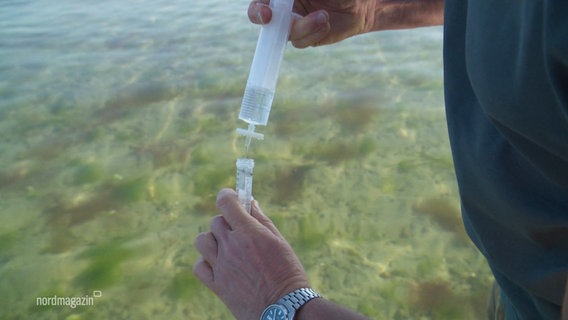 Ein Forscher entnimmt eine Wasserprobe aus der Ostsee. © Screenshot 