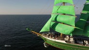 Die Alexander von Humboldt zwei fährt mit seinen grünen Segeln über das Meer. © Screenshot 