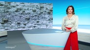 Frauke Rauner. © Screenshot 