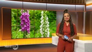 Nadja Babalola moderiert die Nordtour am 01.06.2024. © Screenshot 