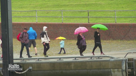 Menschen mit Regenjacken und farbigen Regenschirmen spazieren einen Weg entlang. © Screenshot 
