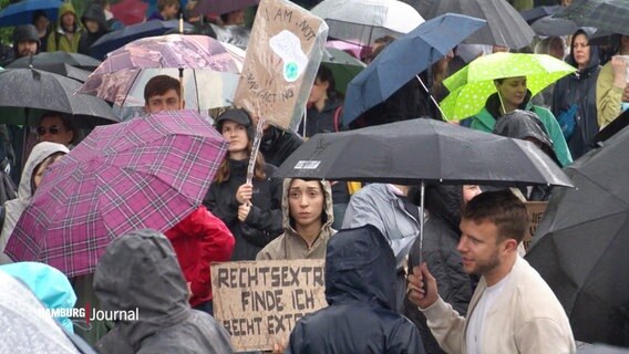 Menschen mit Regenschirmen beim Klimastreik in Hamburg . © Screenshot 