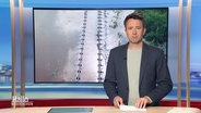 Jan Starkebaum moderiert. © Screenshot 