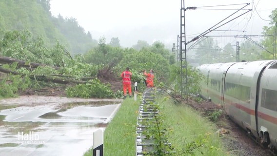 Zwei Arbeiter in roter Warnkleidung stehen vor einem umgestürzten baum neben der bahnstrecke, auf der ein wartender ICE steht. Es regnet und der Boden ist mit großen Pfützen bedeckt. © Screenshot 