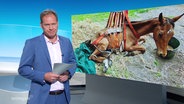 Moderator Thilo Tautz © Screenshot 