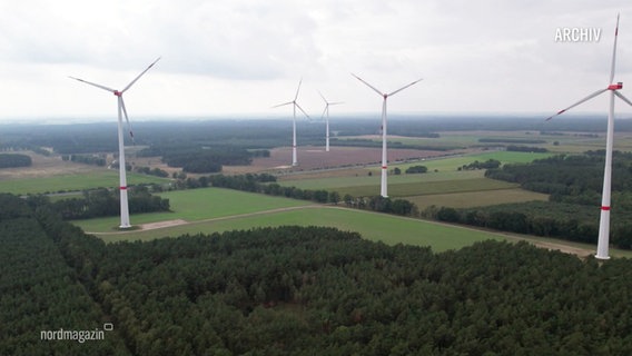 Windkraftanlagen stehen auf einem Feld. © Screenshot 