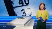 Romy Hiller moderiert NDR Info. © Screenshot 