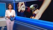 Romy Hiller moderiert NDR Info 16:00. © Screenshot 