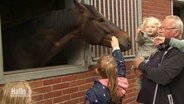 Kinder und Familien konnten am Tag des offenen Hofes die regionalen Betriebe einmal ganz nah erleben. © Screenshot 