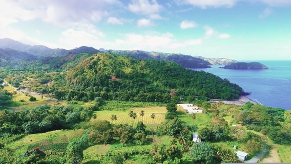 Luftaufnahme von Kuba: Eine bergige grüne Landschaft mit viel Wald und Palmen grenzt an einen blauen Ozean. © Screenshot 