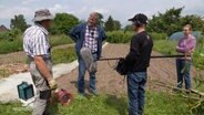 Thomas Rubach, ein Cordshagener Bauer wird auf seinem Feld interviewt. Er trägt einen Hut und ein kariertes Hemd, vor ihm stehen ein Reporter und ein Tontechniker sowie die Tochter des Landwirts, die dabei zusieht. © Screenshot 