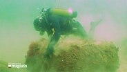 Ein Taucher birgt eine Weltkriegsbombe aus der Nordsee. © Screenshot 