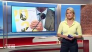 Die Moderatorin Kathrin Kampmann © Screenshot 