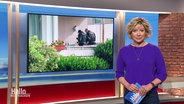 Die Moderatorin Christina von Saß © Screenshot 