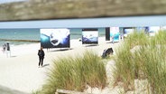 Die großen Haibilder der Ausstellung am Strand von Zingst © Screenshot 