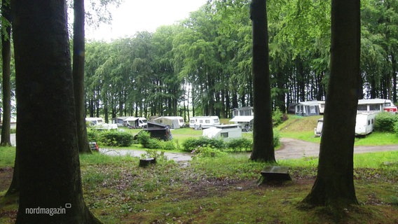 Auf einer Lichtung in einem Buchenwald stehen Campinganhänger und Zelte. © Screenshot 
