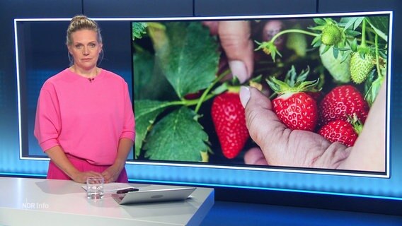 Moderatorin Juliane Möcklinghoff © Screenshot 