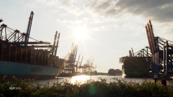 Hamburger Hafenkräne in der Abendsonne. © Screenshot 