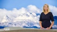Moderatorin Alexandra Bauer im Studio. © Screenshot 