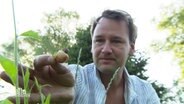 Ein Mann hält eine unreife Erdbeere in der Hand, auf der eine Nacktschnecke sitzt. © Screenshot 