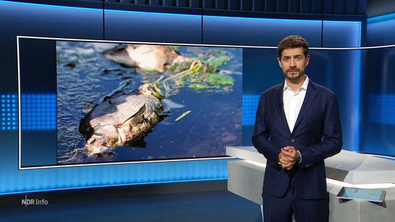 Daniel Anibal Bröckerhoff moderiert. © Screenshot 