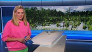Juliane Möcklinghoff moderiert NDR Info. © Screenshot 