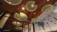 Blick an die hölzerne Decke im neuen Foyer des Müritzeums. Im Raum hängen Leuchten in Form von Seerosenblättern, an der Wand ist in blauen Silhouetten die Mecklenburgische Seenplatte dargestellt. © Screenshot 
