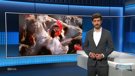 Daniel Anibal Bröckerhoff moderiert NDR Info um 21:45 Uhr. © Screenshot 