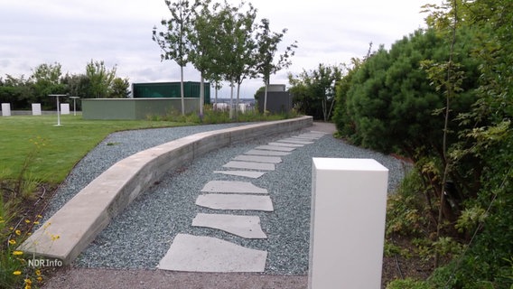 Das einst graue Betondach des großen Bunkers am Heiligengeistfeld ist nun bergünt und könnte als Vorzeigeprojekt für klimafreundliches Wohnen in Städten dienen. © Screenshot 