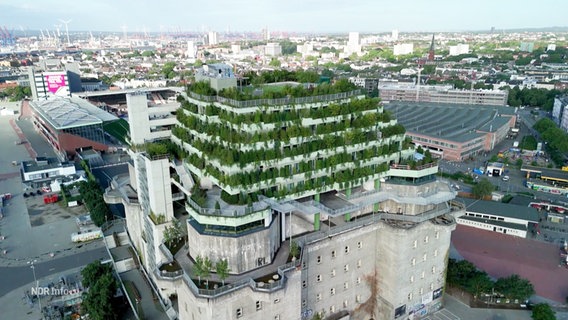 Vogelperspektive: Der "Grüne Bunker" auf St. Pauli. © Screenshot 