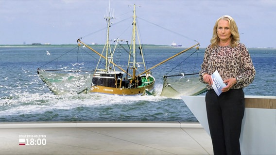 Harriert Heise moderiert Schleswig-Holstein 18.00. © Screenshot 
