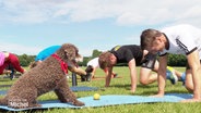 Auf einer Wiese macht eine Sportgruppe die Übung Mountainclimber. Ein Hund sitzt dabei seinem Herrchen gegenüber. © Screenshot 