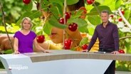 Marie-Luise Bram und Gerrit Derkowski © Screenshot 