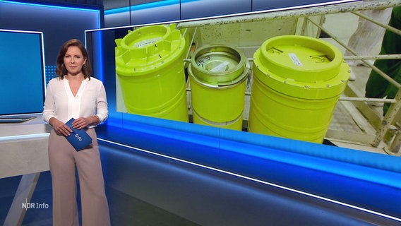 Romy HIller moderiert NDR Info 14:00 Uhr. © Screenshot 