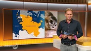 Moderator Thilo Tautz steht im Studio. © Screenshot 