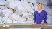 Moderatorin Eva Diederich im Studio. © Screenshot 
