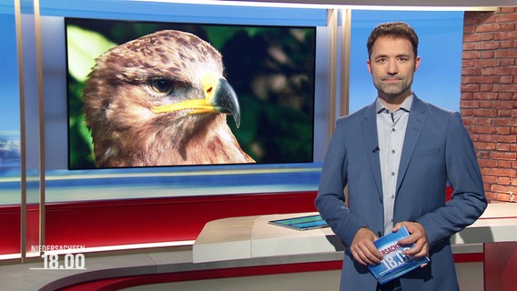 Moderator Johannes Avenarius im Studio. © Screenshot 