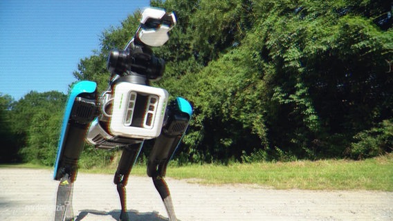 Roboterhund LARS. © Screenshot 