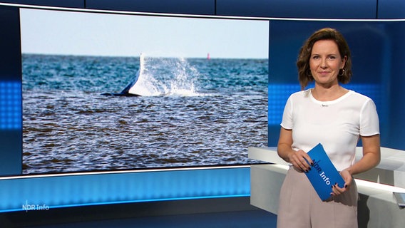 Romy Hiller moderiert NDR Info. © Screenshot 
