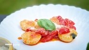 Auf einem Teller schön angerichtete Ravioli mit Tomate, Parmesan und Basilikum. © Screenshot 